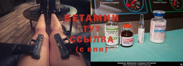 прущие грибы Вязники